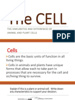 Animal Plant Cells