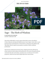 Sage – the Herb of Wisdom