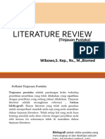 Mp-Literature Review