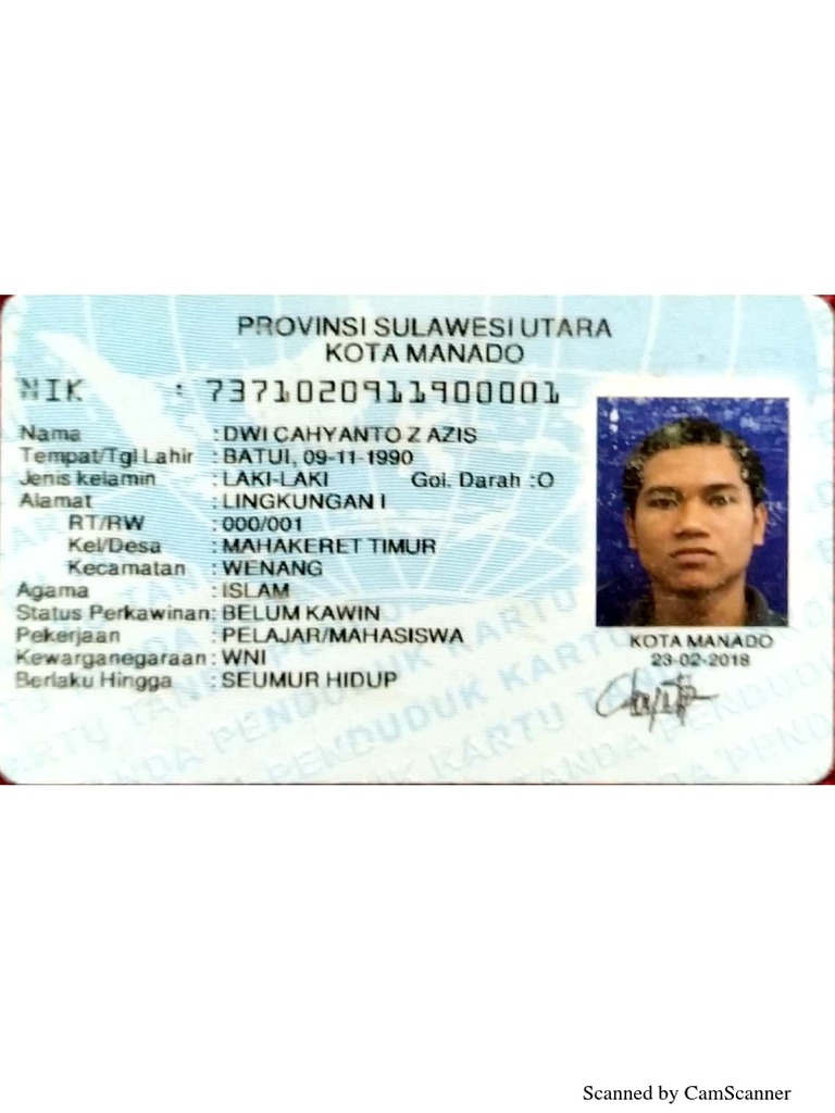 Scanned Document Analysis Guide | PDF