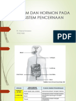 Enzim Dan Hormon Pada Sistem Pencernaan