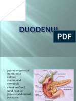 Duodenul