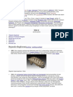 Situs Arkeologi Sangiran UNESCO