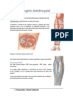 Región Antebraquial (Daniel Sulbarán)