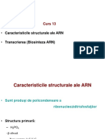 9.TRANSCRIERE.ppt