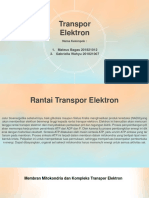 Transpor Elektron