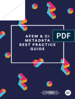 Afem & Ci Metadata Best Practice Guide