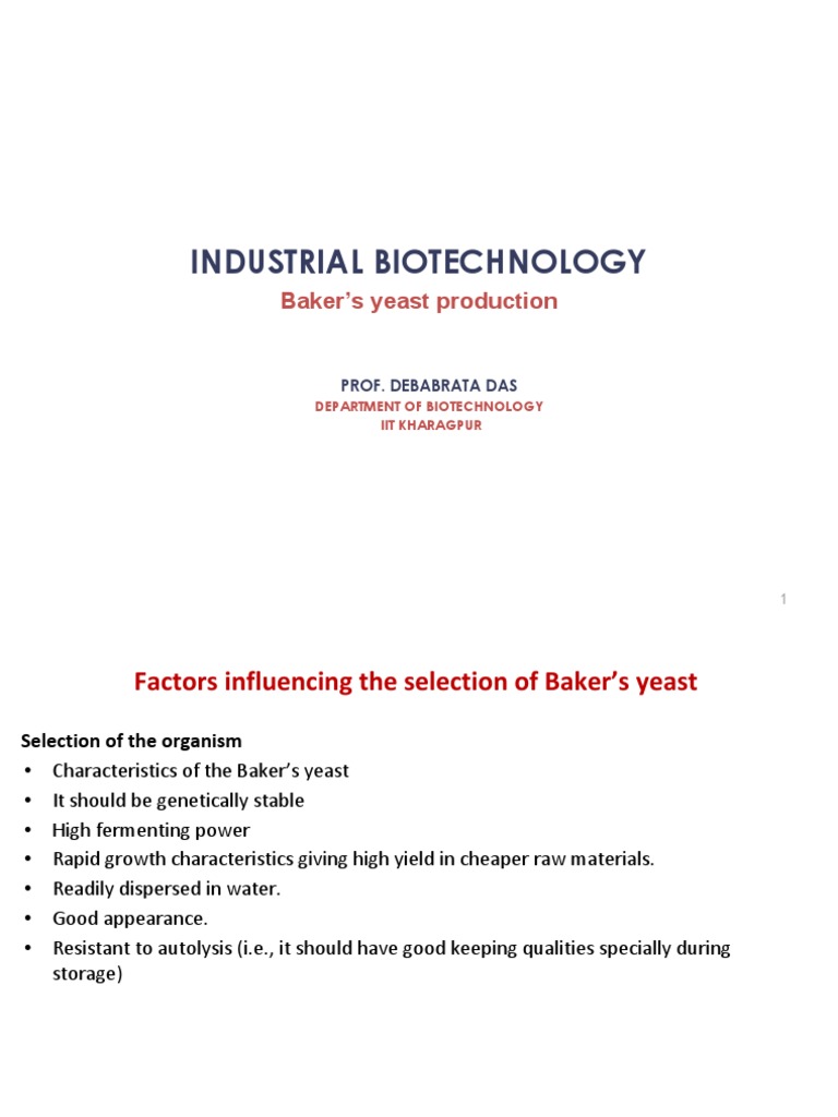 Baker's Yeast PDF PDF Baker's Yeast Saccharomyces Cerevisiae