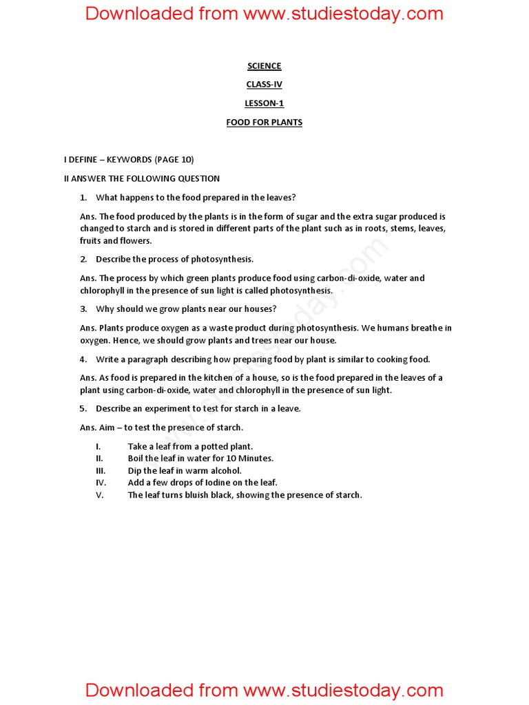 Food for Plants: Class 4 Worksheet | PDF | Wellness | Science & Mathematics