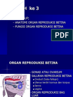 Anatomi Organ Reproduksi Betina-1