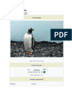 Gentoo Penguin: Jump To Navigationjump To Search