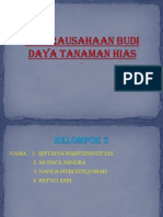 Budidaya Tanaman Hias