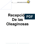 Libro Nuevo de Aceite PDF