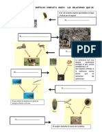 Actvidad de Relaciones Bióticas