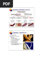 Cestode S