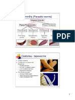 Parasitic Worms Guide