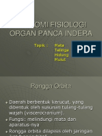 Anatomi Organ Panca Indera