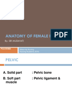 Anatomy of Female Pelvic: By: Sri Mudayati