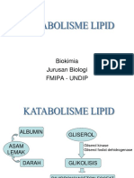 Katabolisme 