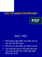 CÁC CƠ QUAN CHUYÊN BIỆT.pdf