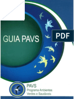 Guia Pavs