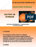Cultivo de citricos.pdf