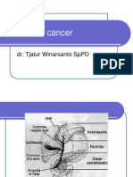 Pancreatic Cancer: Dr. Tjatur Winarsanto SPPD