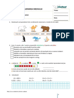 2 MEM - Test - Evaluare - Finala-Grafica PDF
