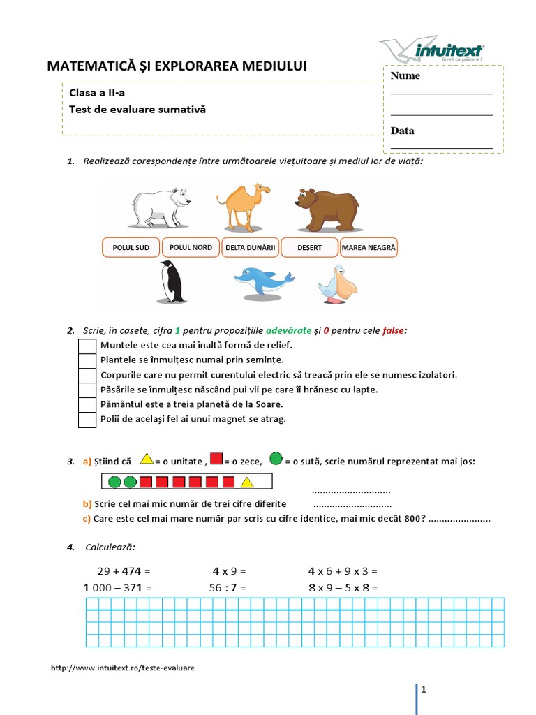 2 Mem Test Evaluare Finala Grafica Pdf