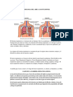 Fisiologia Del Aire A Los Pulmones