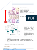 3a Aula - Plasmodium