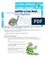 26 Ficha Los Reptiles y Las Aves para Cuarto de Primaria