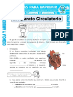 9 Ficha El Aparato Circulatorio Para Cuarto de Primaria (1)