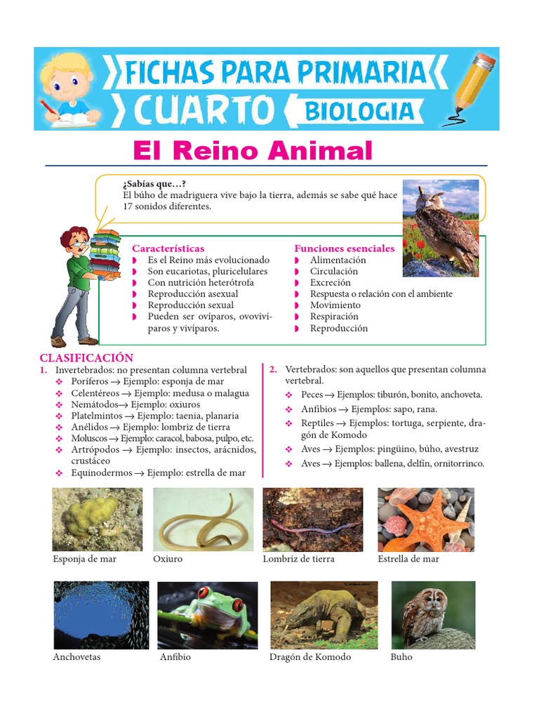 El Reino Animal para Cuarto de Primaria | PDF | Organismos | Naturaleza