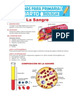 La Sangre para Cuarto de Primaria