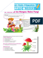 Reino-Fungi-para-Cuarto-de-Primaria.pdf
