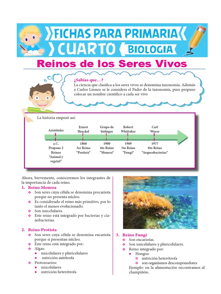 Reinos de Los Seres Vivos para Cuarto de Primaria PDF | PDF ...