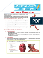 Sistema-Muscular-para-Niños-para-Cuarto-de-Primaria.pdf