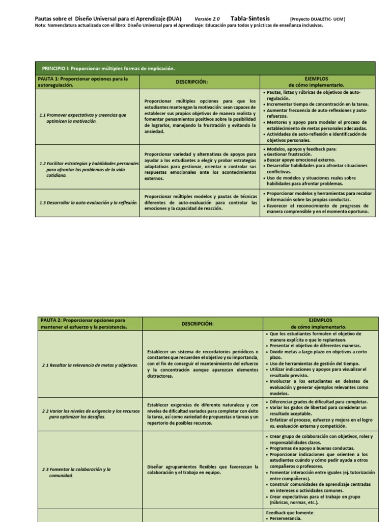 Principios y Ejemplos del DUA | PDF | Planificación | Información