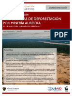 CINCIA-Research-Brief-1-Three-Decades-of-Deforestation.pdf