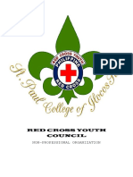 Red Cross Youth Council: Non-Professional Organization