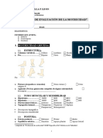 Evaluacion de Motricidad