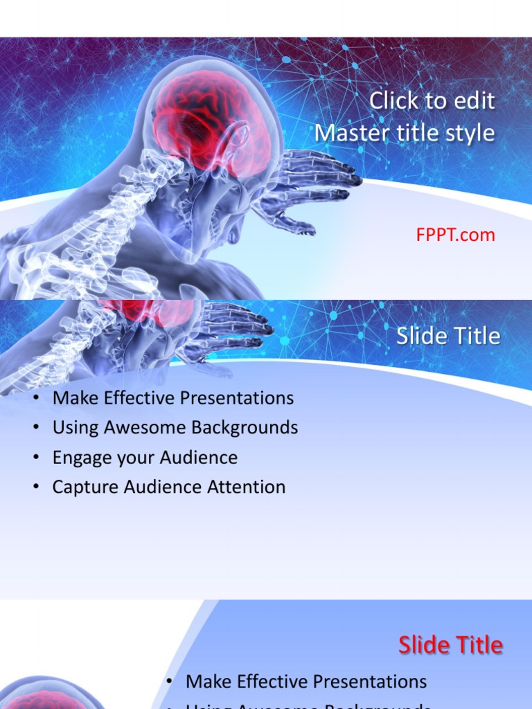 Brain Template | PDF