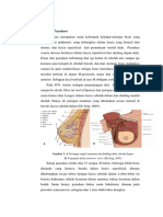 Bahan Refrat DR Widyanti SPB (K) Onk Shafa