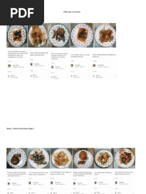 Food Diary 13-30