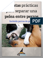 9 Pautas Prácticas para Separar Una Pelea de Perros