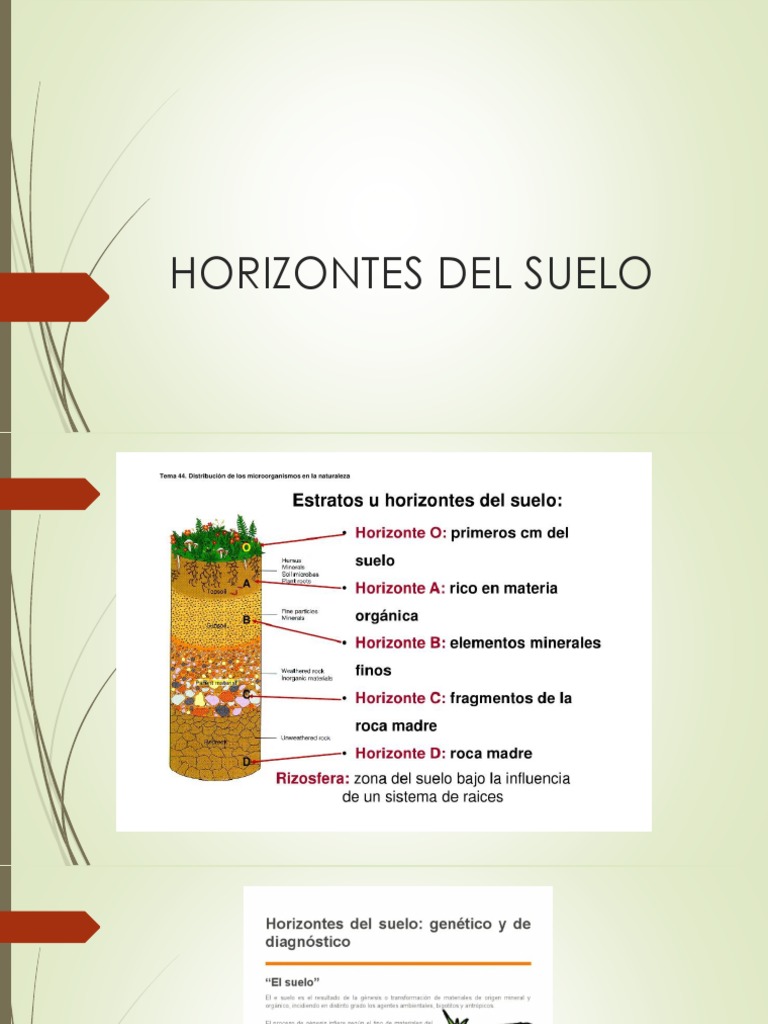 Explorando los Horizontes del Suelo | PDF