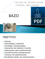 Bazo PDF