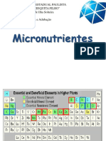 micronutrientes 
