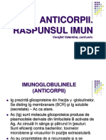 Anticorpii Raspunsul Imun